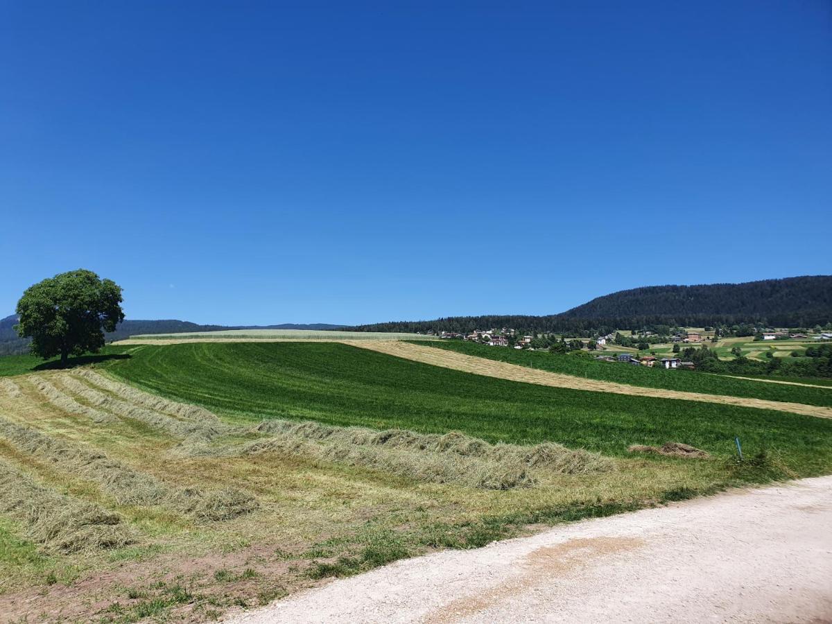 Agritur Belsogno B&B Brez Dış mekan fotoğraf